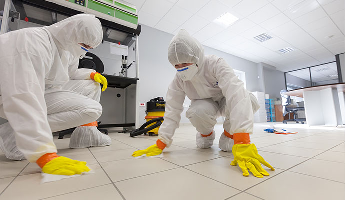 Team cleaning room surface