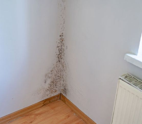 Black molded wall corner