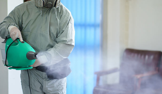 Professional deodorization service