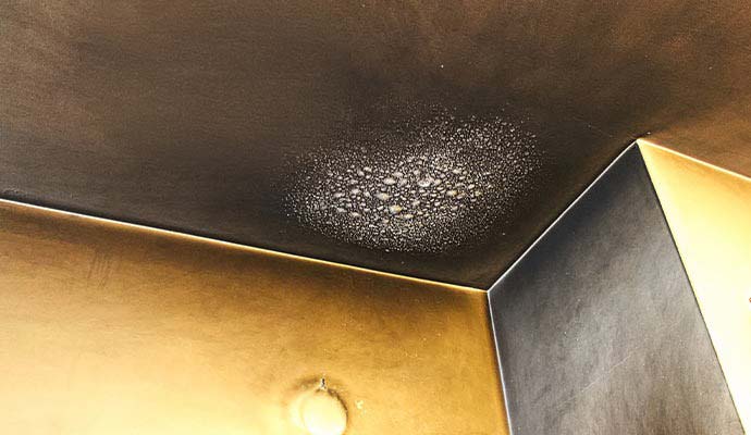 Soot and smoke damaged wall and ceiling