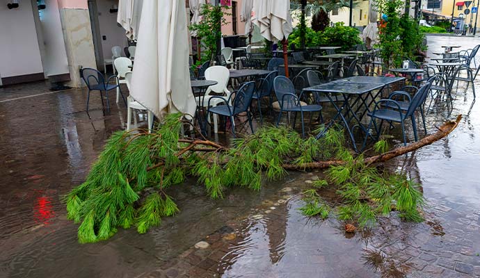 Fallen tree branch on a restaurant patio after a storm