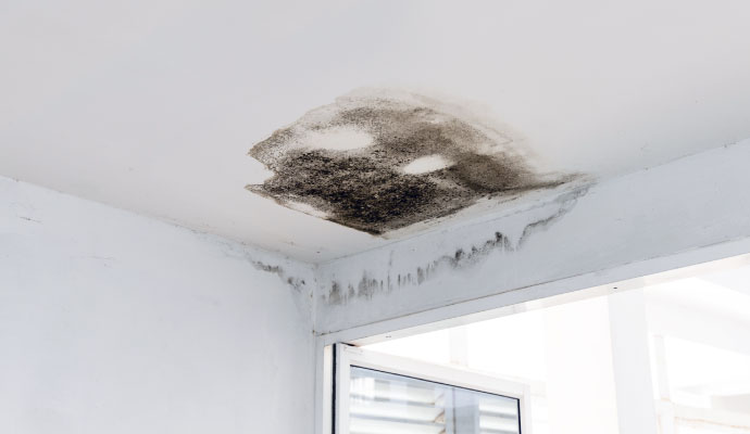 Mold on the ceiling