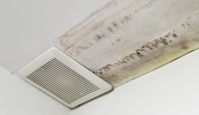 Ceiling mold damage around exhaust vent