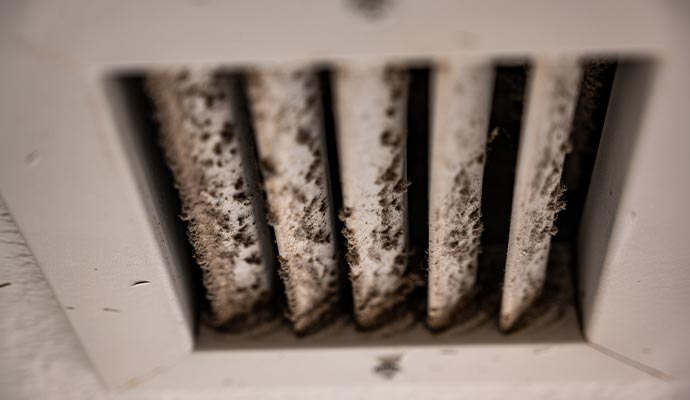 HVAC Mold Remediation in Houston, Austin & College Station