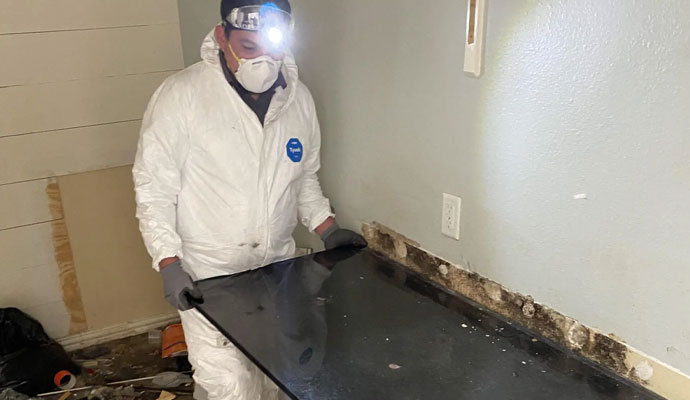 Professional mold remediation service by Fire Reconstruction Inc