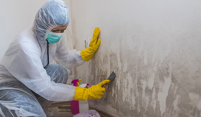 Professional remediation worker cleaning wall mold