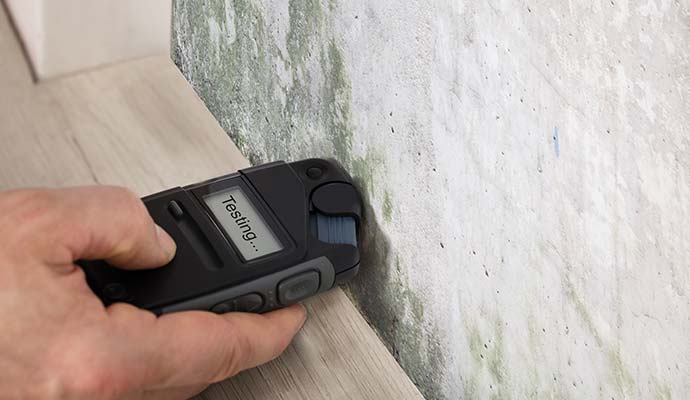 Certified Mold Testing in Houston, Austin, and College Station