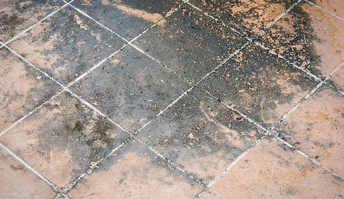 Stained and dirty floor tiles