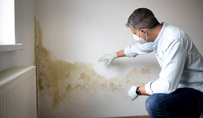 Technician inspecting wall stain and mold