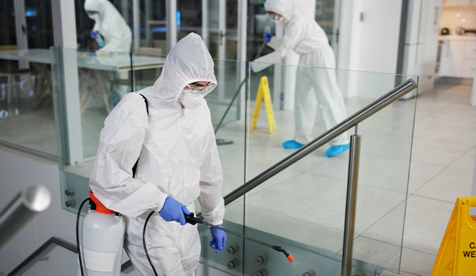 Professional disinfecting service