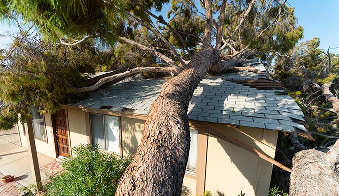 Wind Damage Restoration in Houston, Austin, and College Station 