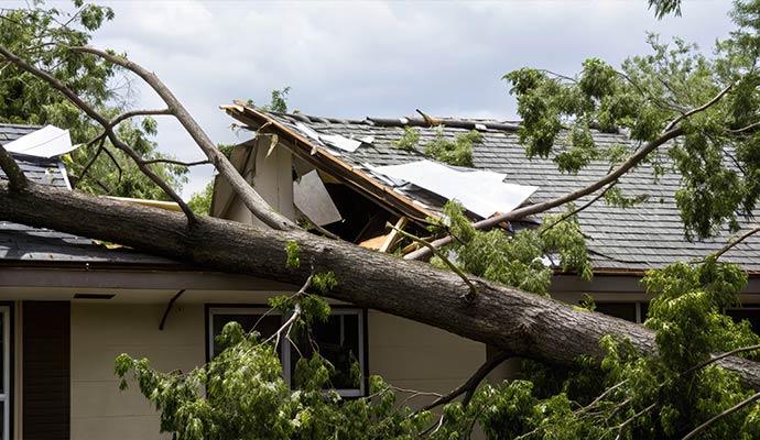 Storm damaged roof
