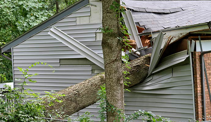 Tree fallen on the house due to hurricane