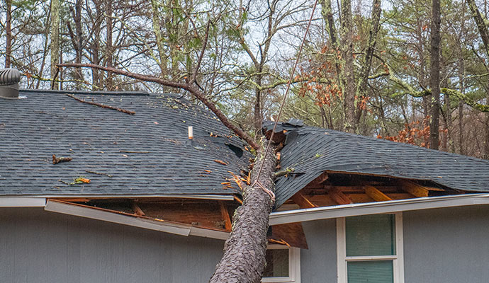 Tree fallen on the house due to wind