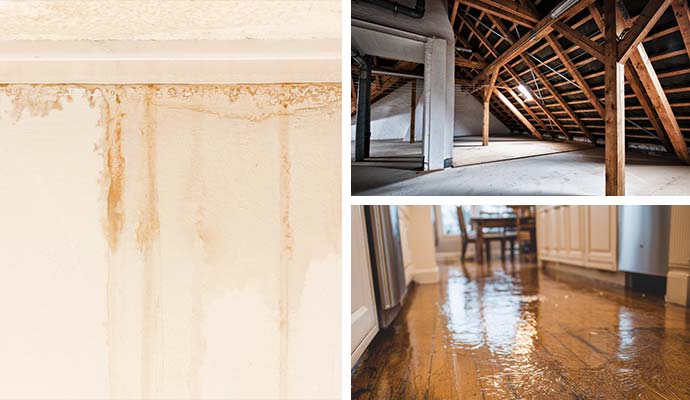 Collage of water damage to walls, attic and floors