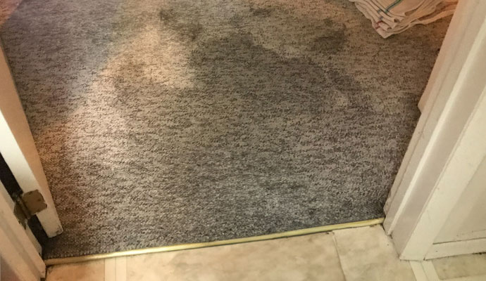 Water damaged carpet