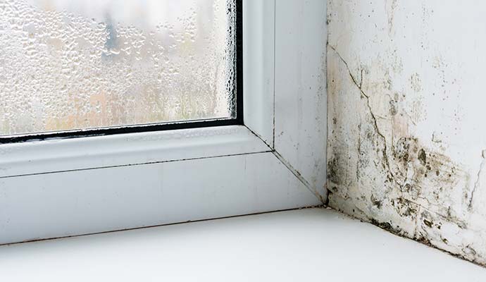 Window condensation and moisture damage on wall